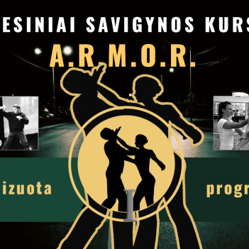 Savigyna Facebook reklamai